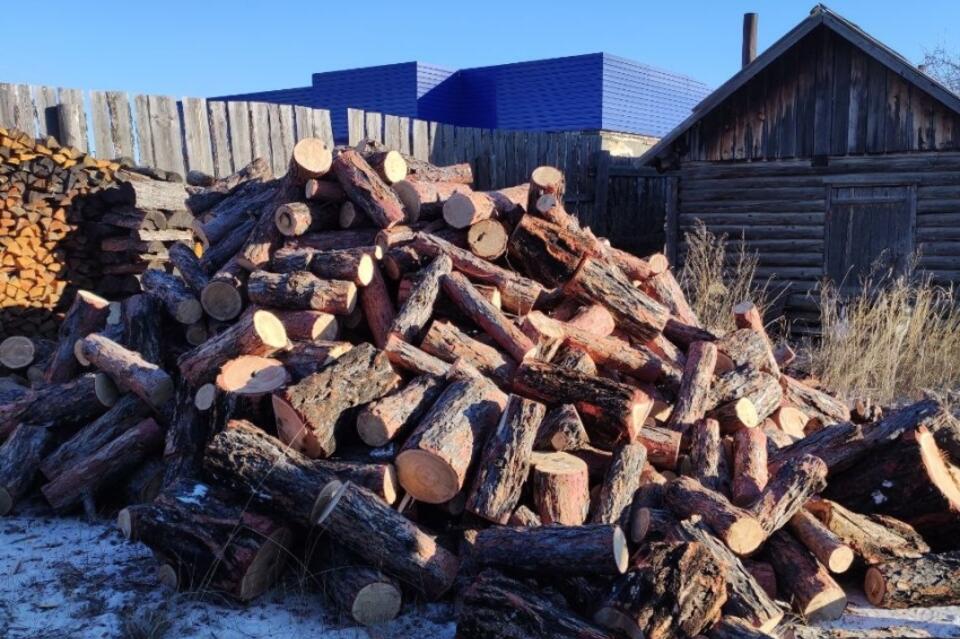 «Забайкаллесхоз» попробует сбить спекулятивные цены на дрова