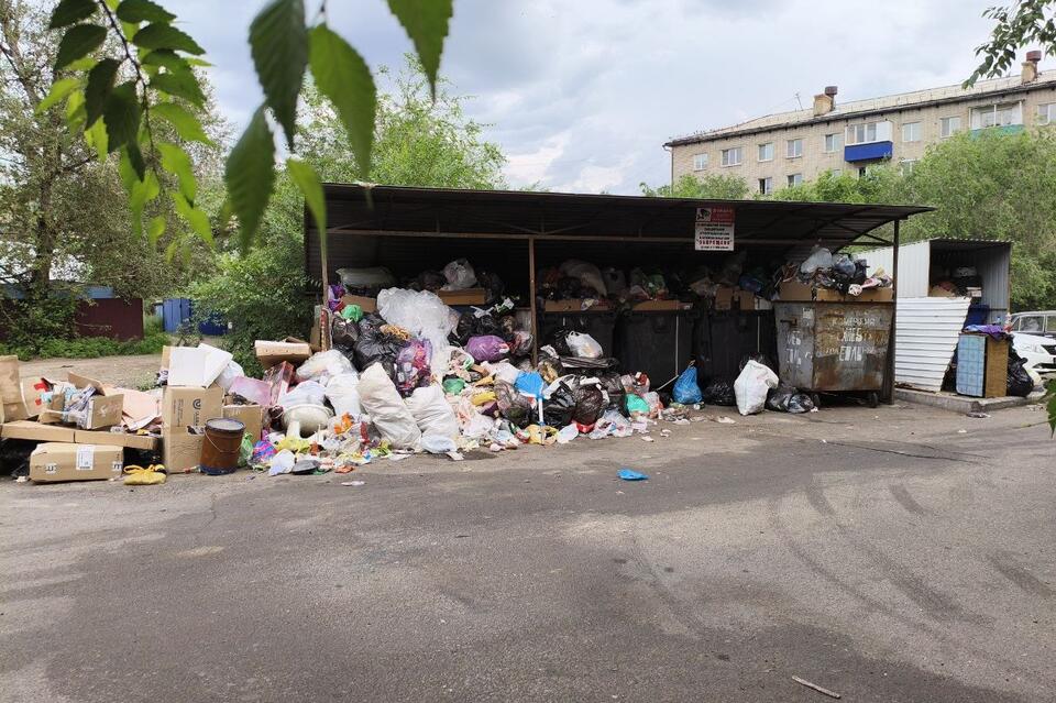 Жители улицы Промышленная в Чите пожаловались на невывоз мусора