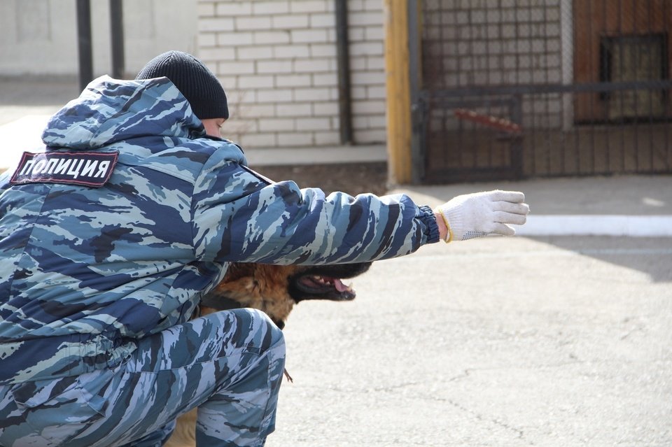 Полиция чита. Наркоманы город Краснокаменск. В Краснокаменске задержали преступников 3 декабря.