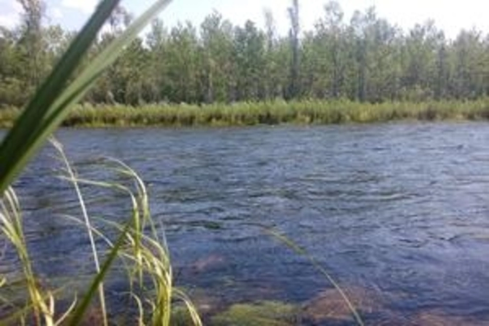 Уровень воды на реках Онон и Ингода у двух сел приблизится к выходу на пойму