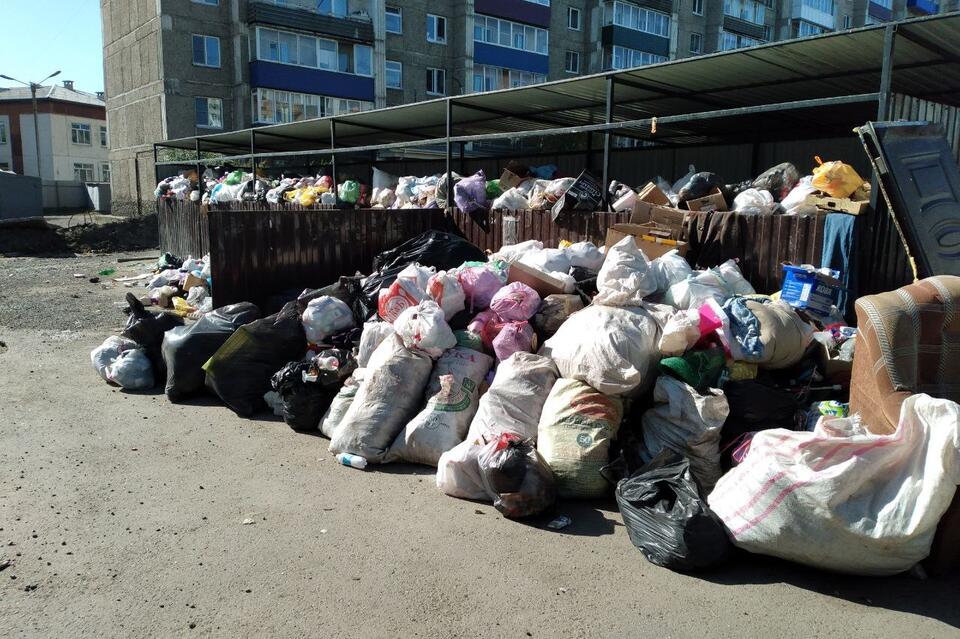 Мусор не вывозят на протяжении нескольких дней в 1-ом микрорайоне