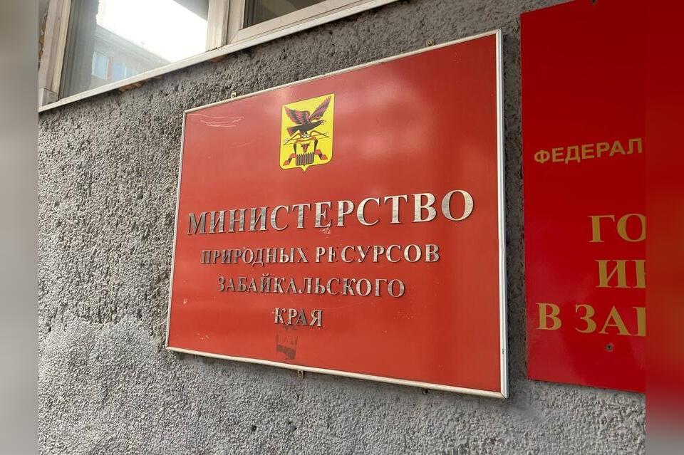 Следователи изъяли документы в краевом Минприроды