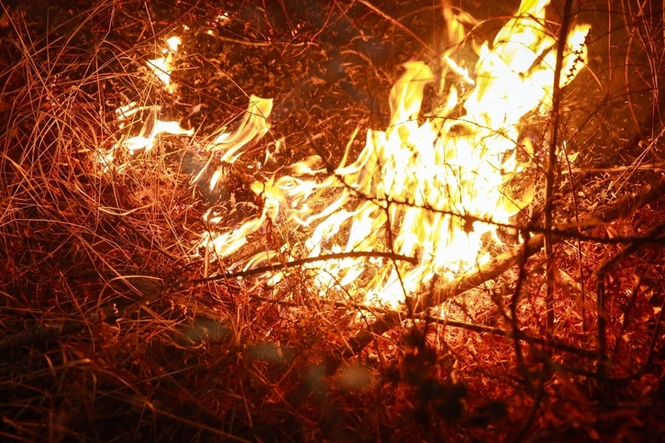 Забайкалец заплатит более пяти тысяч рублей за поджог леса