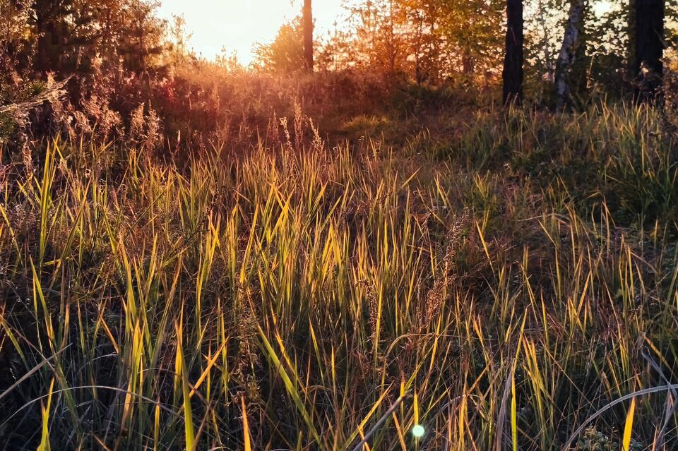 Бабье лето в Забайкалье пока что задержится