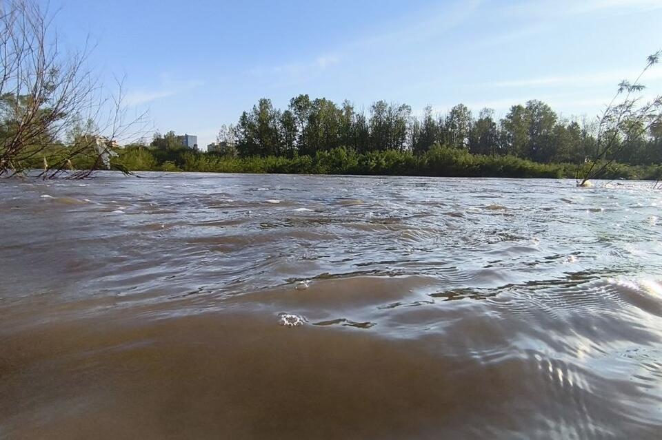 Прокуратура проверит информацию о загрязнении реки Могоча