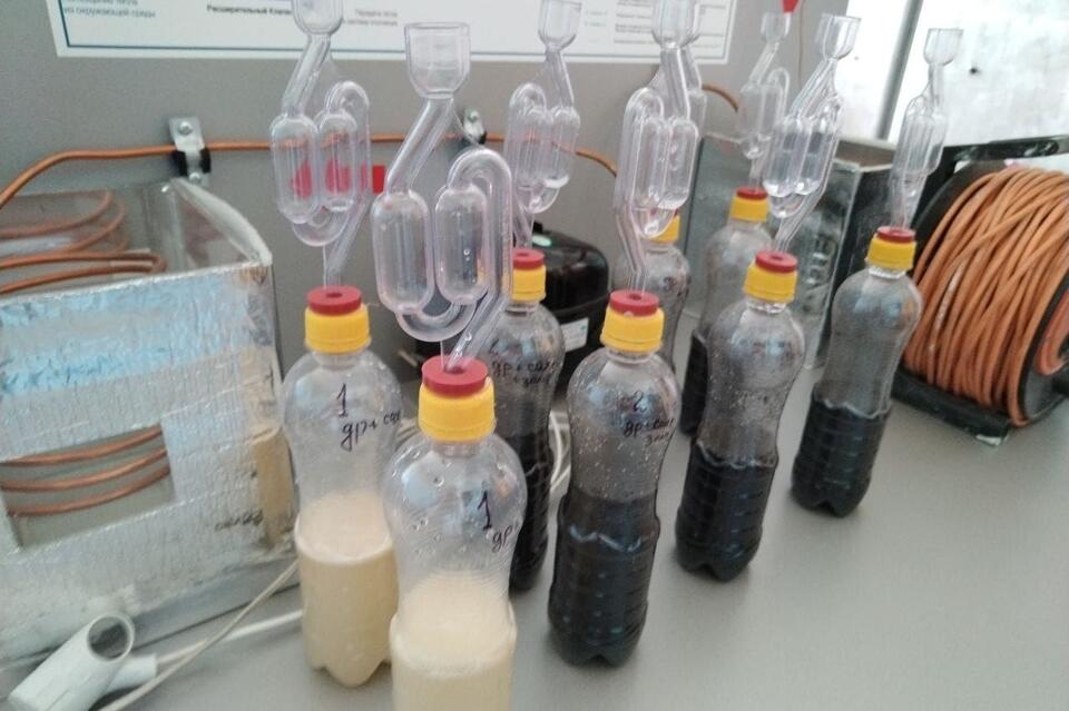 Ловушку для дыма от лесных пожаров разрабатывают в регионе