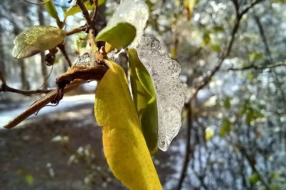 Гороскоп для жителей Забайкальского края на 17 ноября