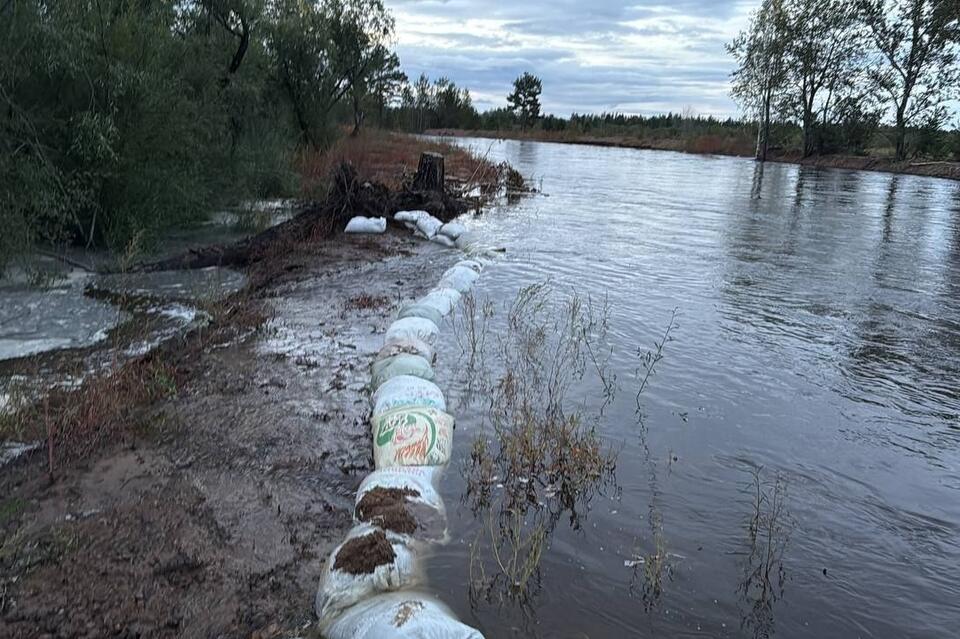 Берег реки Чита в районе дачных кооперативов укрепили мешками