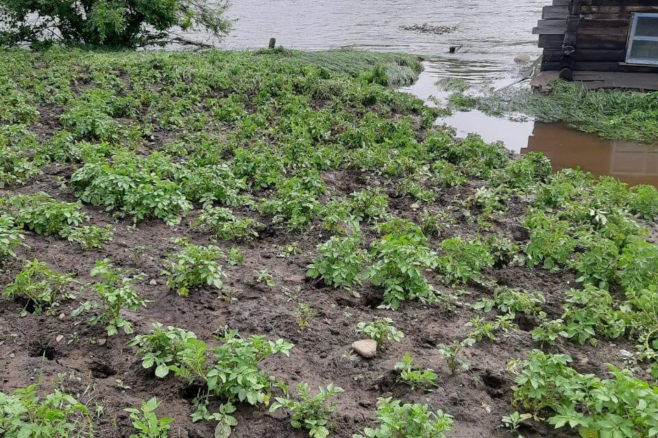 «Циклон в Забайкалье»: Вода спала в затопленном селе Читинского района