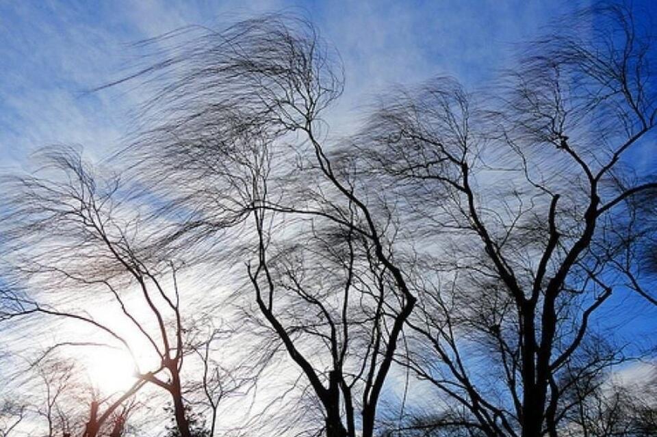 Усиление ветра до 22 метров в секунду ожидается в Забайкалье