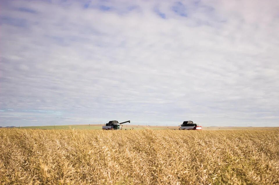 Предприятие в Забайкалье оштрафовали за нарушения при декларировании зерна
