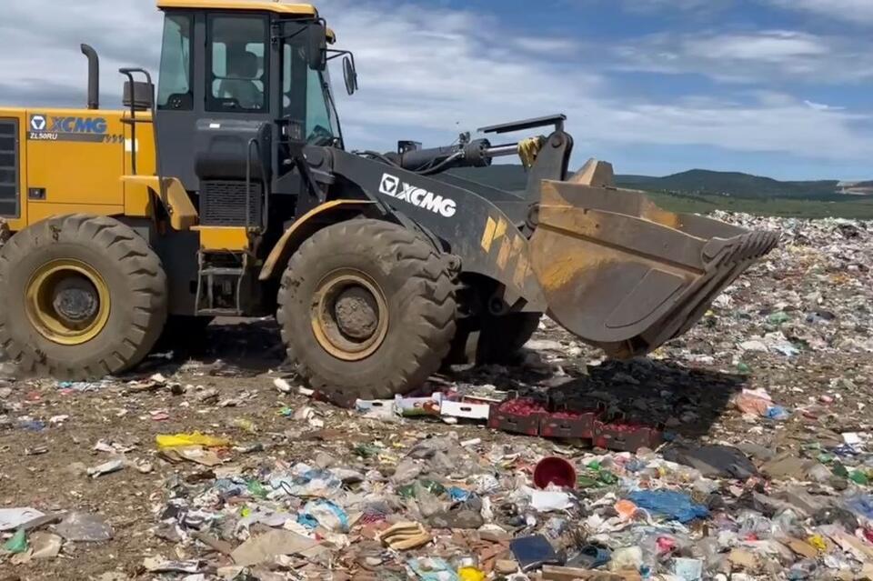 Около центнера яблок раздавили трактором на городской свалке