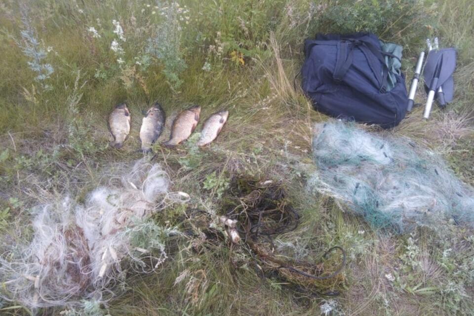 Наловить рыбы на четверть миллиона за ночь – история одного уголовного дела