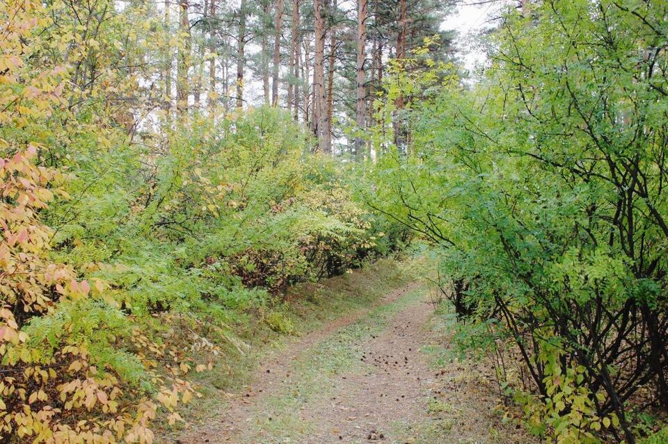 До 23 градусов тепла ожидается в Забайкалье