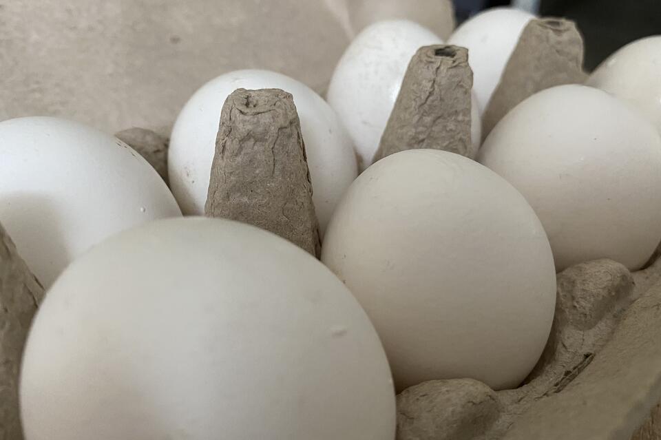 Минэконом региона: яйца, молоко и сахар стали дешевле