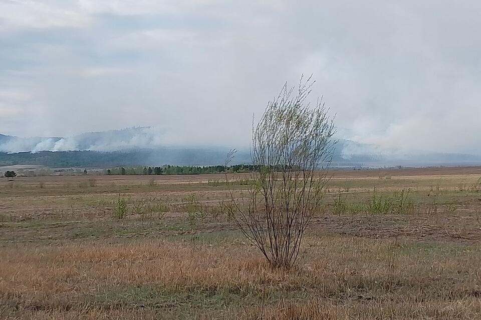«Забайкалье в огне»: между селами Новотроицк и Ильинка пылает сопка