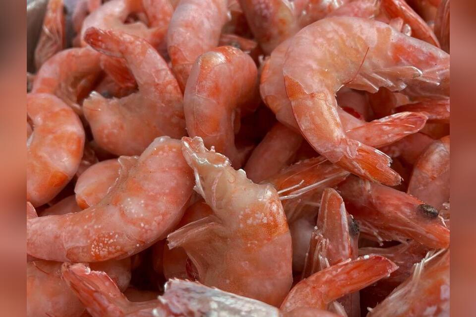Более 400 кг запрещённых креветок завезли в Забайкалье