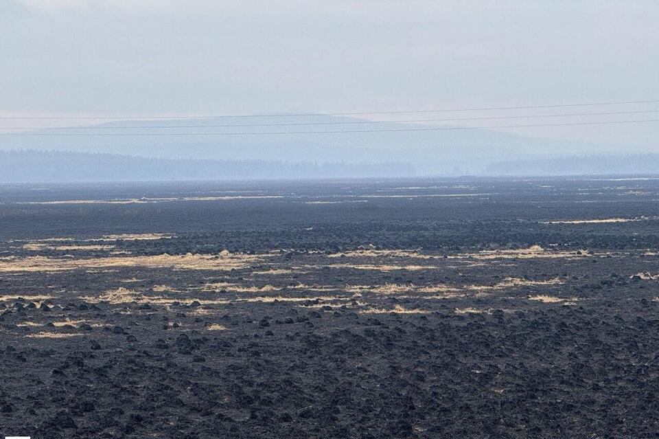 Ситуация на территории Черновского лесничества стабильная
