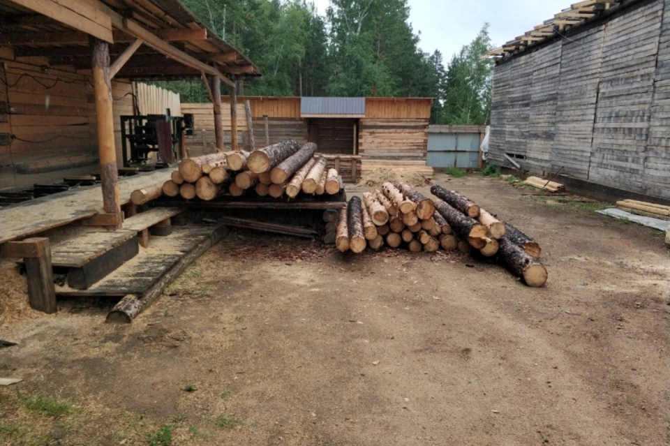 Забайкальская лесозаготовительница незаконно вывезла древесину на сумму более 3 млн руб за границу