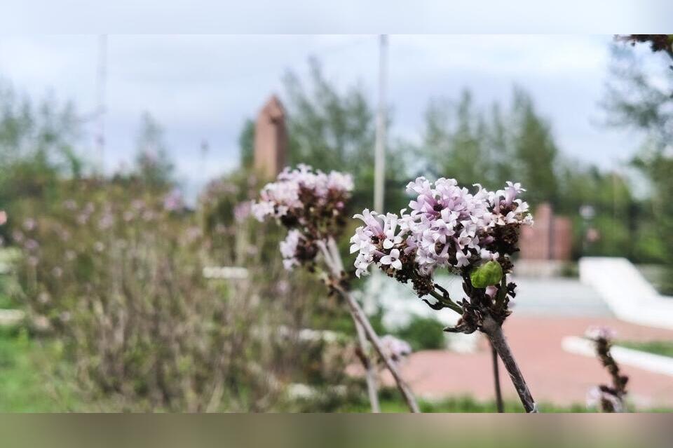 Гороскоп для жителей Забайкальского края на 8 августа