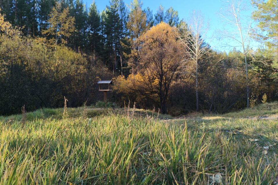 Погода без осадков сохранится в Забайкалье