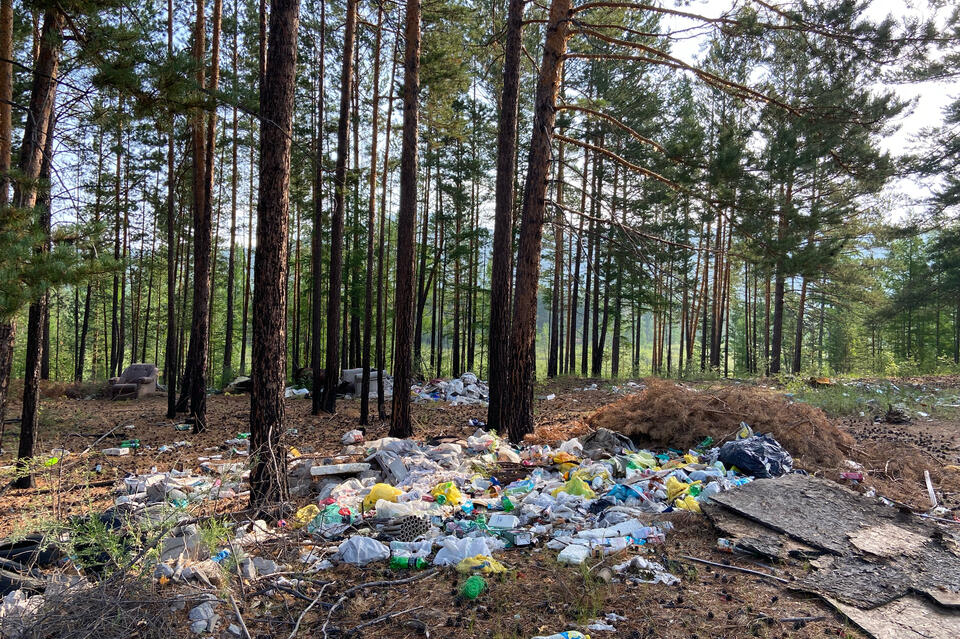 Более 150 незаконных свалок зафиксировано в лесах Забайкалья