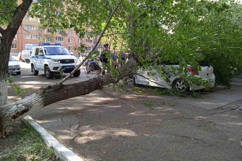 Администрация Читы рассказала о непопулярных, но важных мероприятиях