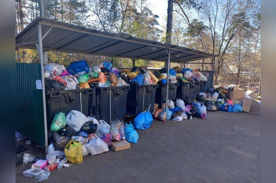 Жители улицы Кайдаловская в Чите пожаловались на невывоз мусора