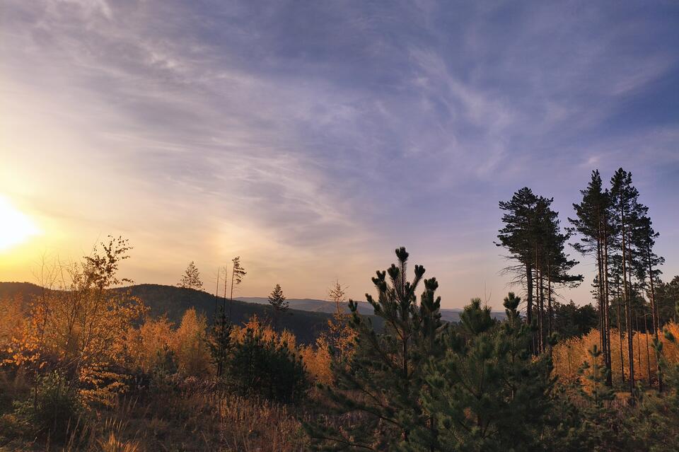 Гороскоп для жителей Забайкальского края на 29 сентября