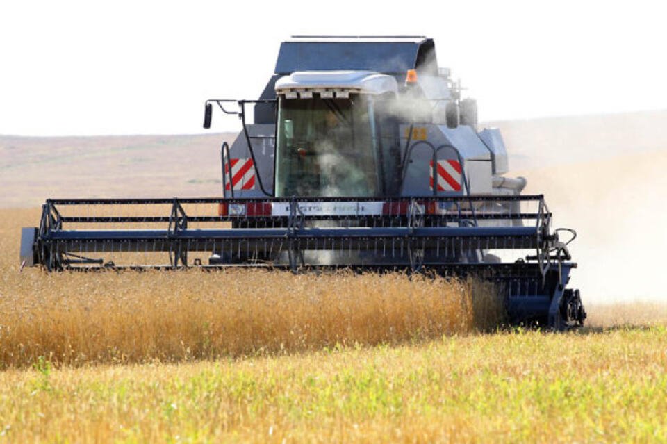 Россия отменила расчет пошлин на зерно в долларах