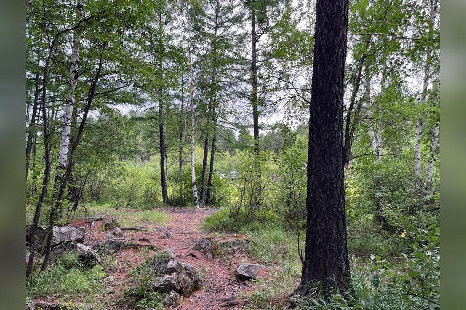 В Бадинском участке Забайкаллесхоза готовят технику к пожароопасному сезону