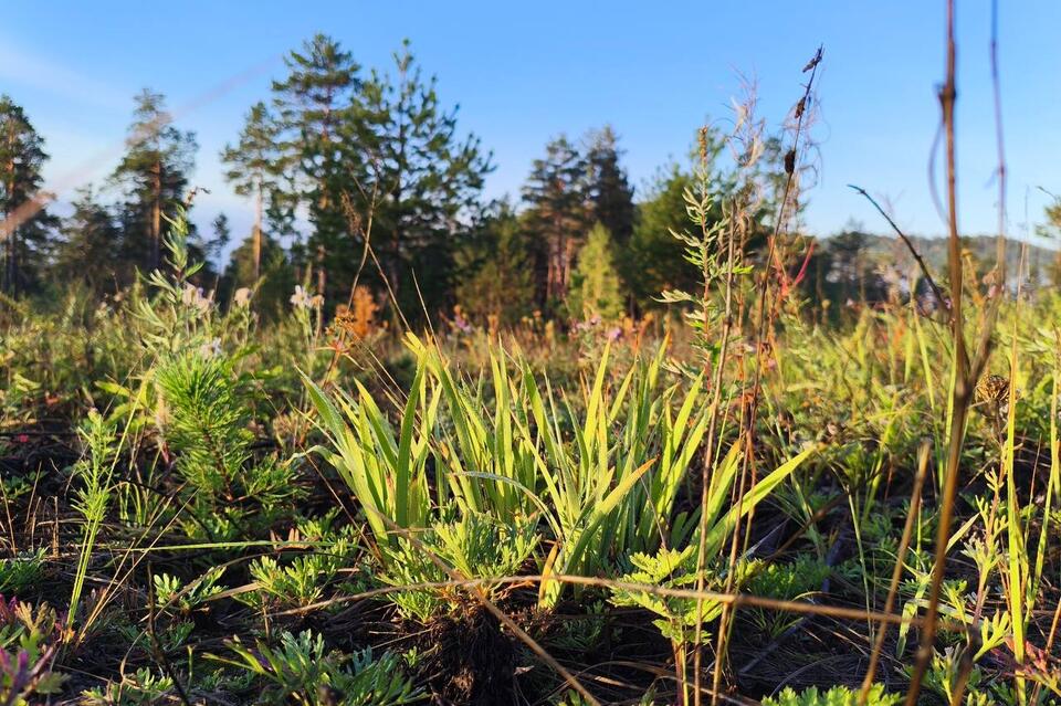 Специалисты оценили влияние вредных объектов в регионе