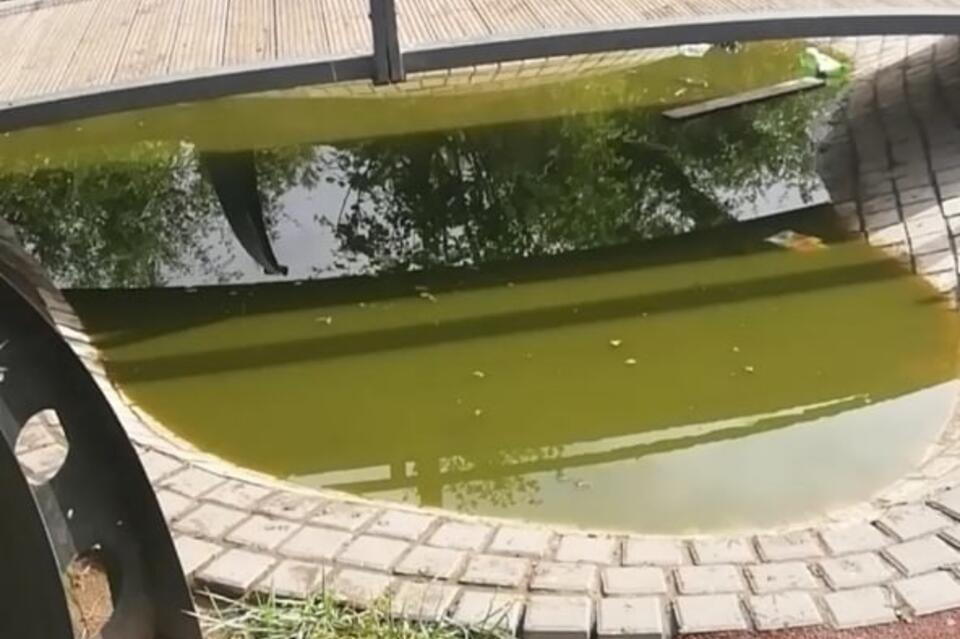 Площадь Декабристов в Чите зарастает мусором