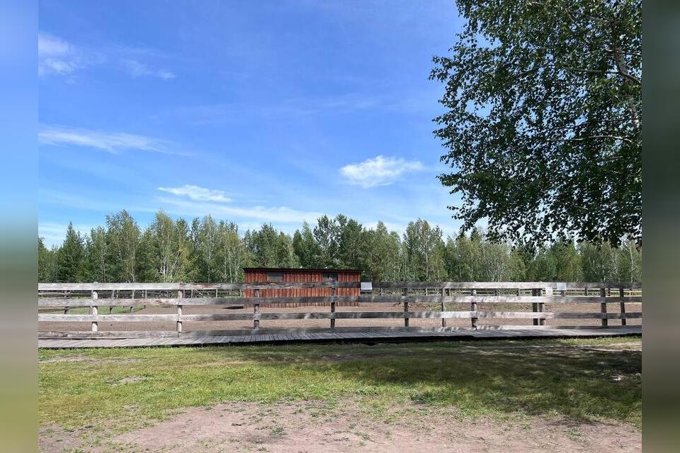 Зоопитомник «Амодово» временно закрыли