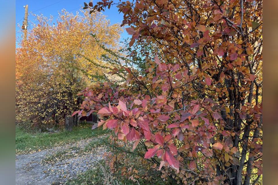 В Забайкалье сохранится погода без осадков