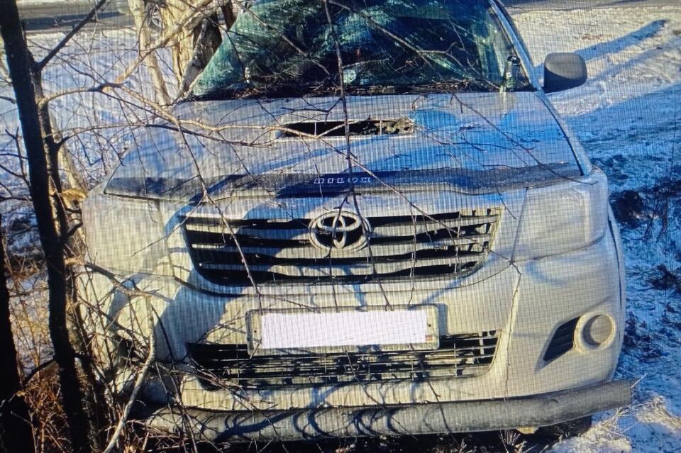 Водитель не справился с управлением и наехал на дерево