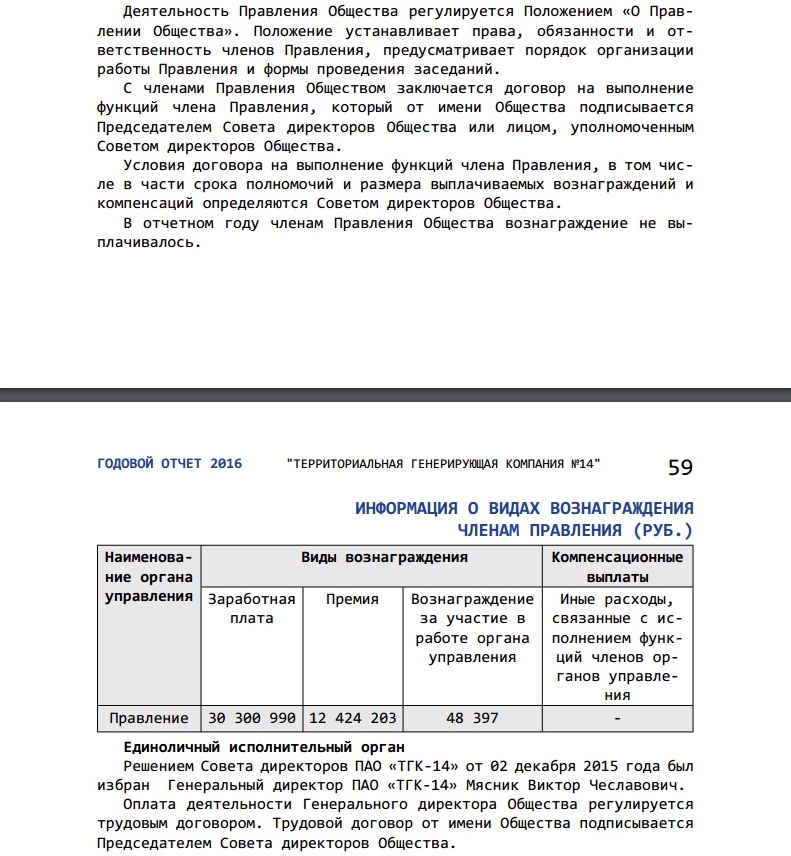 Топ-менеджеры ТГК-14 получили 12 млн руб премий в 2016 году