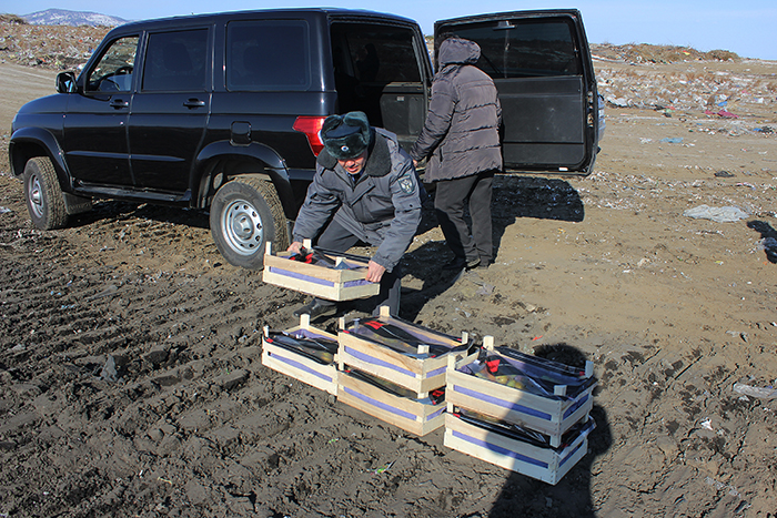 Более 28 тонн «санкционки» уничтожили в Забайкалье за 3,5 года