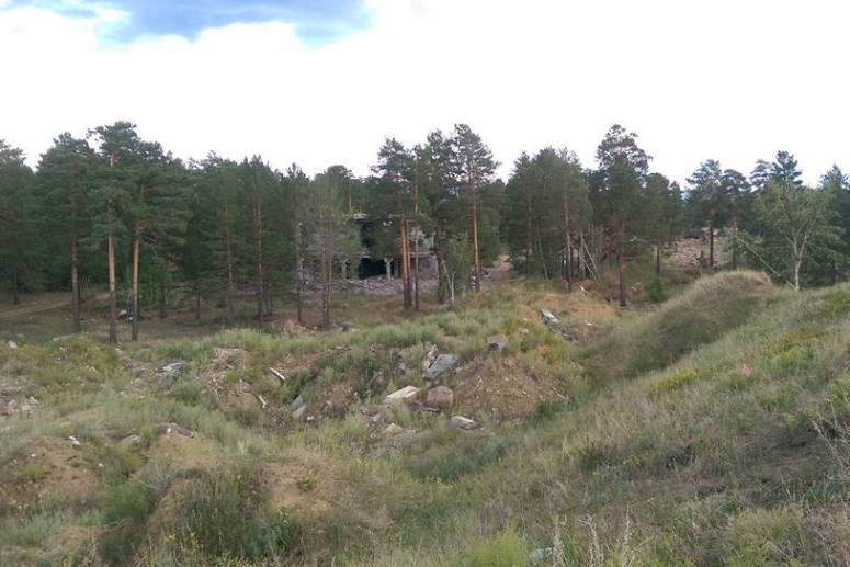 Лес возле заброшенной части в Смоленке превратили в свалку