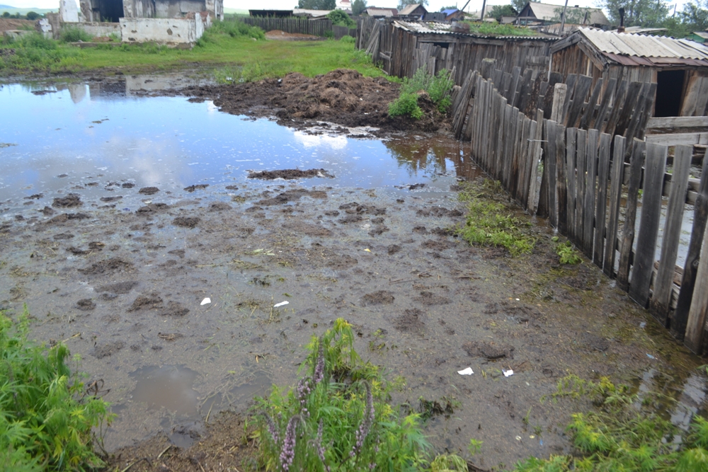 Михайлов: Проблем слишком много, но решать их надо быстро