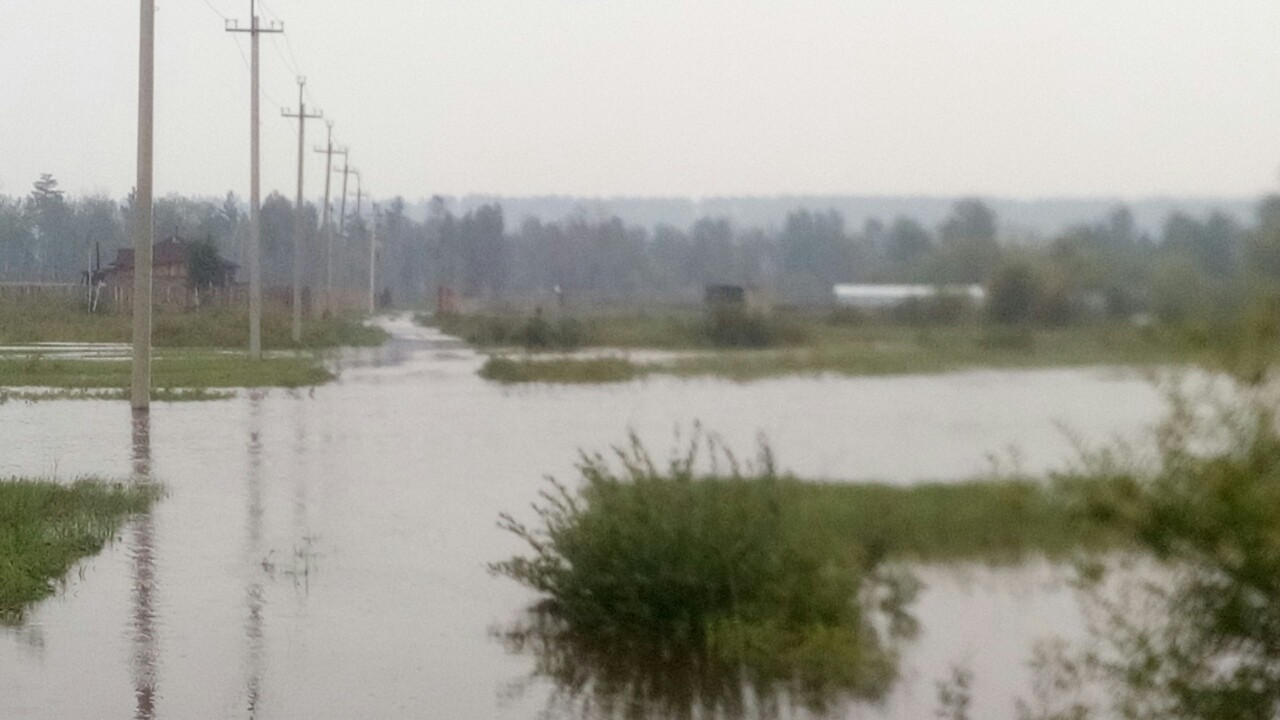Река Чита подтопила огороды и дома в ДНТ «Земляничное»