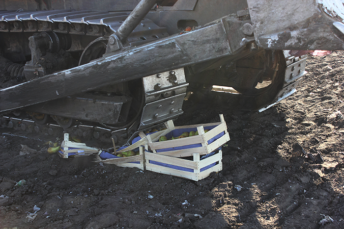 Более 28 тонн «санкционки» уничтожили в Забайкалье за 3,5 года