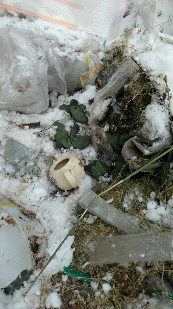 Поисковики наткнулись в лесу возле кладбища Читы на противопехотные мины