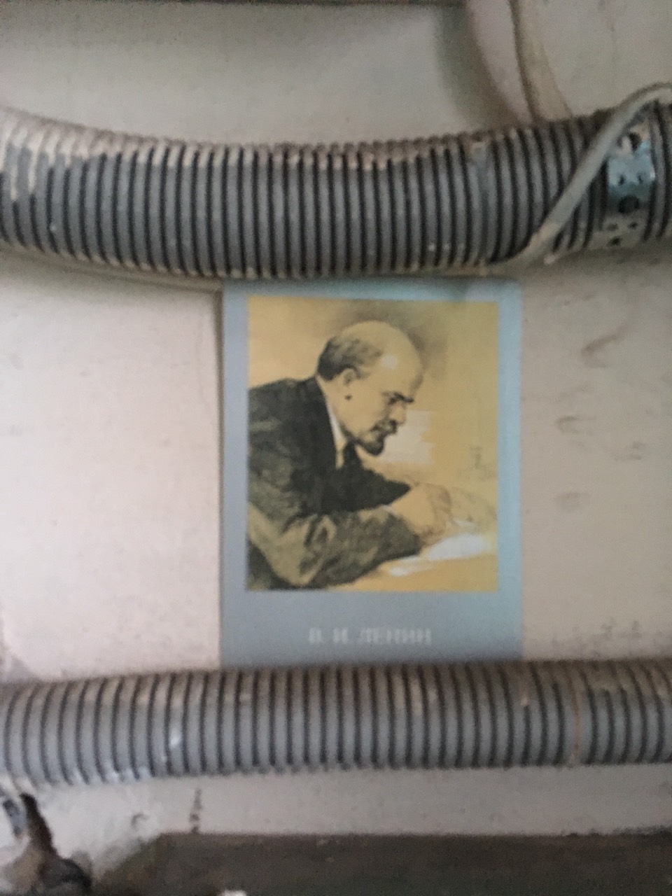 Неизвестные подбросили портреты Ленина в почтовые ящики дома в Чите
