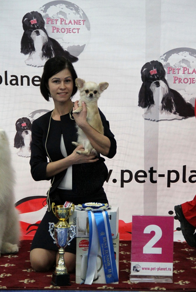 Четвероногая гордость Забайкалья