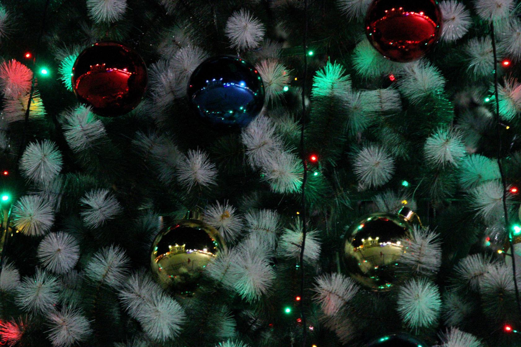 Вандалы сломали фигурки собак в Ледовом городке в Краснокаменске