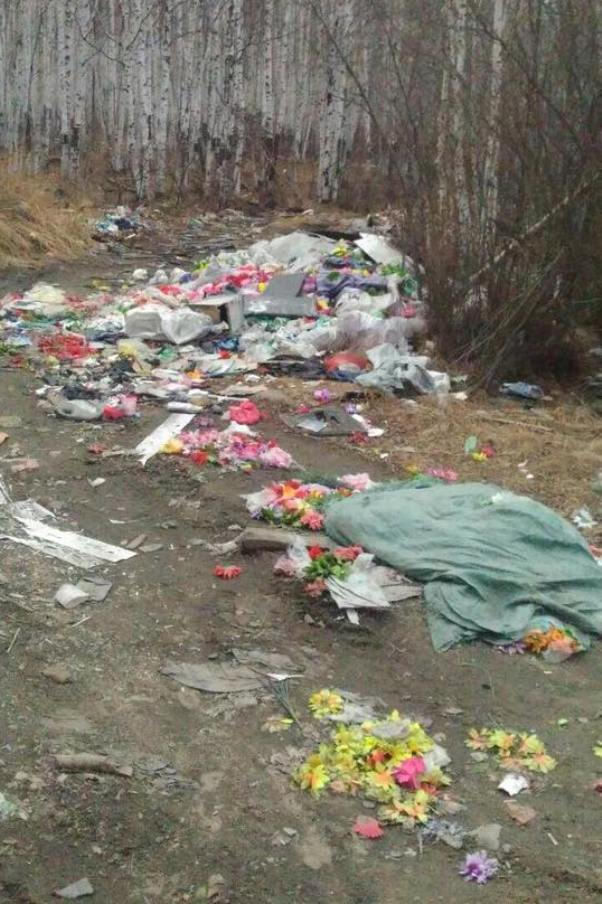 Лес возле Могочи усыпали кладбищенскими цветами