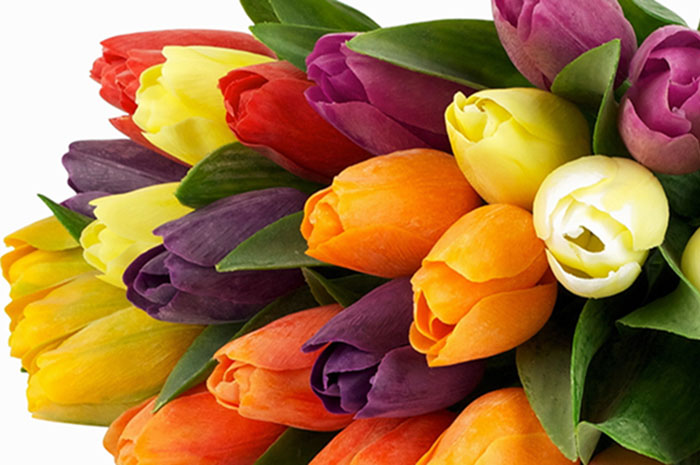 Цветочная сеть «Альгамбра» открыла предварительный заказ на букеты к 8 марта