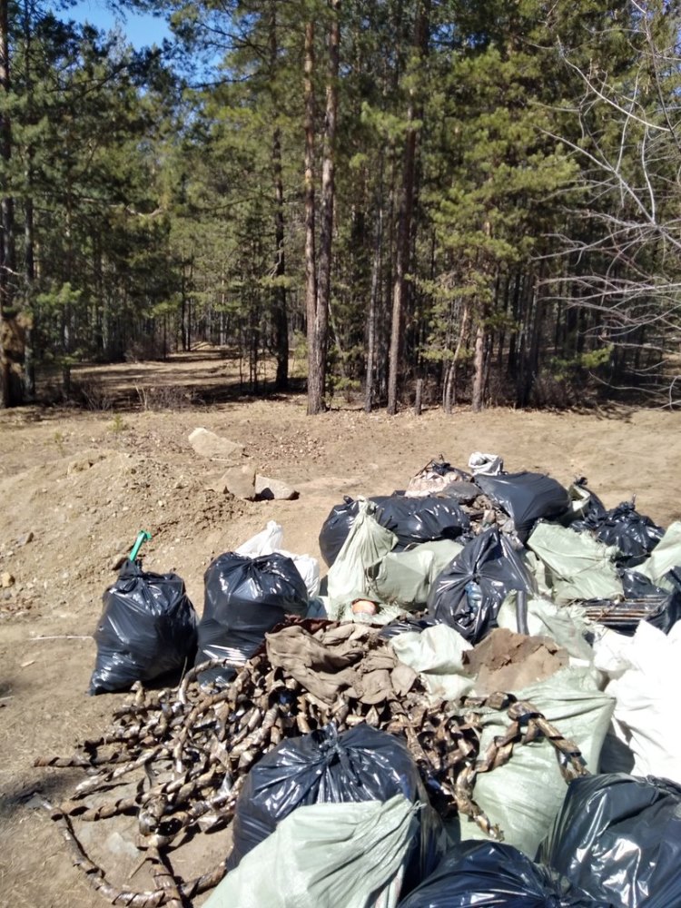 Читинцы собрали более 600 мешков мусора на пути от стадиона СибВО до Высокогорья
