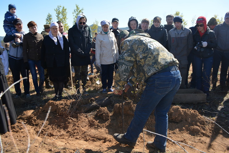 Волков выразил благодарность участникам акции «День посадки леса»